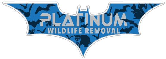 Norton Shores Wildlife Removal