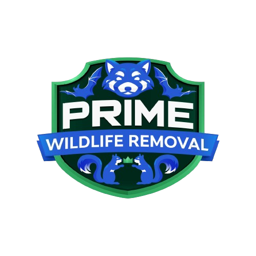 Norton Shores Wildlife Removal